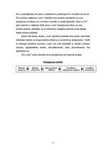 Referāts 'SIA "Latio" organizācijas apraksts', 11.