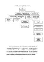 Referāts 'SIA "Latio" organizācijas apraksts', 17.