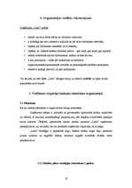 Referāts 'SIA "Latio" organizācijas apraksts', 19.