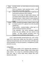 Referāts 'SIA "Latio" organizācijas apraksts', 20.