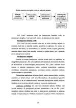 Referāts 'SIA "Latio" organizācijas apraksts', 28.