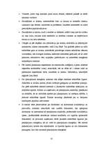 Referāts 'SIA "Latio" organizācijas apraksts', 30.