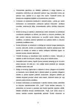 Referāts 'SIA "Latio" organizācijas apraksts', 31.