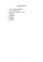 Referāts 'SIA "Latio" organizācijas apraksts', 40.