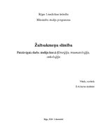 Konspekts 'Žultsakmeņu slimība. Aprūpes plāns', 1.