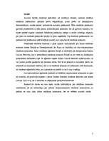 Referāts 'Starptautiskie reklāmas konkursi un to attīstība Latvijā', 3.