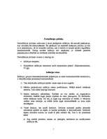 Referāts 'Inflācijas līmenis Latvijā', 6.