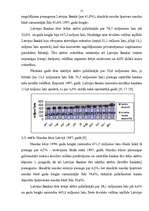 Referāts 'Latvijas Bankas monetārā politika', 15.