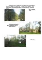 Eseja 'Mārcienas muiža', 3.