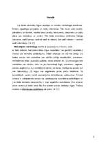 Referāts 'Reklāmas pirmsprojekta analīze', 3.