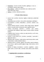 Referāts 'Reklāmas pirmsprojekta analīze', 5.