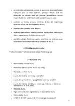 Referāts 'Reklāmas pirmsprojekta analīze', 7.