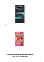 Referāts 'Reklāmas pirmsprojekta analīze', 13.