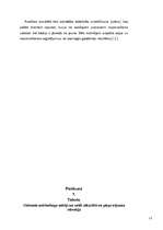 Referāts 'Reklāmas pirmsprojekta analīze', 17.