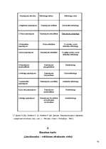 Referāts 'Reklāmas pirmsprojekta analīze', 18.