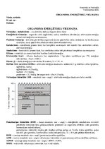 Paraugs 'Organisma enerğētiskā vielmaiņa', 1.
