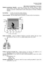 Paraugs 'Organisma enerğētiskā vielmaiņa', 2.