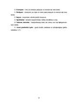 Referāts 'Meža ceļi', 28.