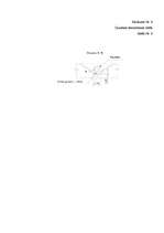 Referāts 'Meža ceļi', 39.