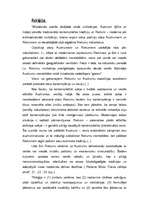 Referāts 'Austrumu un Rietumu reliģiju ietekme', 2.