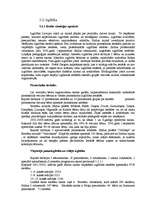 Referāts 'Izglītība', 1.