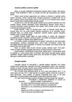 Referāts 'Izglītība', 4.