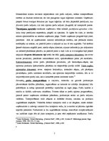 Konspekts 'Produkcijas sadales (novadīšanas tirgū) starptautiskie kanāli', 7.