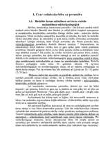 Referāts 'Bērna radošās domas attīstīšana personības attīstīšanas procesā sākumskolā', 5.