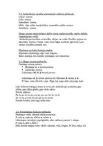 Konspekts 'Bērna runas un valodas izpēte pirmsskolas vecumā', 2.