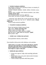 Konspekts 'Bērna runas un valodas izpēte pirmsskolas vecumā', 3.