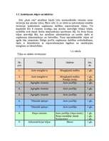 Biznesa plāns 'SIA "Auto rats"', 5.