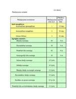 Biznesa plāns 'SIA "Auto rats"', 11.