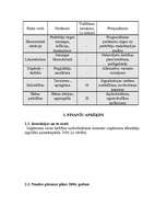 Biznesa plāns 'SIA "Auto rats"', 19.