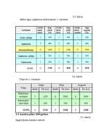 Biznesa plāns 'SIA "Auto rats"', 23.