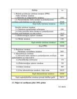 Biznesa plāns 'SIA "Auto rats"', 24.