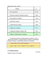 Biznesa plāns 'SIA "Auto rats"', 25.