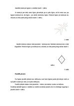 Konspekts 'Ģeometriskie pārveidojumi', 2.