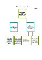 Paraugs 'Biznesa plāns. SIA "Chemical Latvia"', 3.