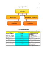 Paraugs 'Biznesa plāns. SIA "Chemical Latvia"', 7.