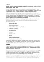 Prezentācija 'Monoteiskās reliģijas', 22.