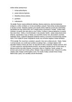 Prezentācija 'Monoteiskās reliģijas', 24.