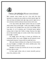 Referāts 'Aļģes', 4.