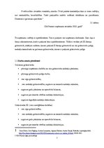 Prakses atskaite 'Pusgada grāmatvedības prakses atskaite', 7.