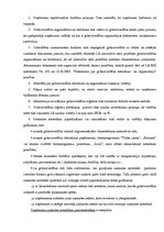 Prakses atskaite 'Pusgada grāmatvedības prakses atskaite', 10.