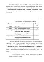 Prakses atskaite 'Pusgada grāmatvedības prakses atskaite', 22.