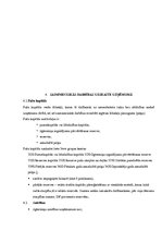 Prakses atskaite 'Pusgada grāmatvedības prakses atskaite', 24.