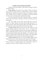 Referāts 'Zemgales novada tautas tērps', 2.