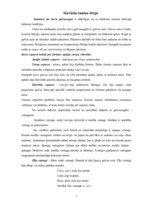 Referāts 'Zemgales novada tautas tērps', 3.