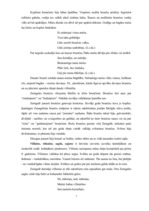 Referāts 'Zemgales novada tautas tērps', 7.