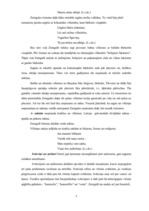 Referāts 'Zemgales novada tautas tērps', 8.